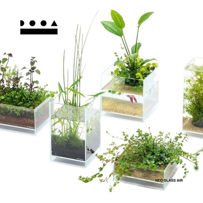 DOOA桌面微景观新悬浮玻璃鱼缸