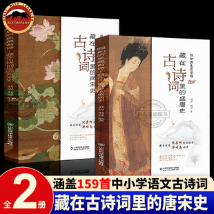 两宋史全2册大语文唐诗宋词159首中小学生中国古诗词大全刚需内容白话译文文字注释历史人物 盛唐史 假如历史是首诗 藏在古诗词里