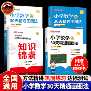一二三四五六年级上下册计算题专项应用题强化训练母题大全画图解题数学底层逻辑训练暑假作业书 小学数学30天精通画图法小学通用版