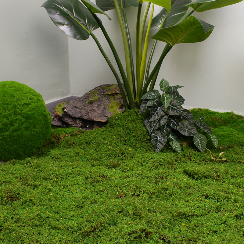 仿真青苔植物墙棕丝苔藓人造草坪室内易撕苔藓假草皮绿植造景装饰-封面