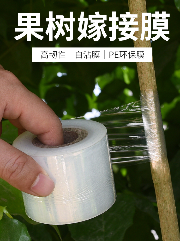 果树带膜打结无需缠绕膜嫁接专用PE膜包扎园林薄膜自粘式嫁接胶带