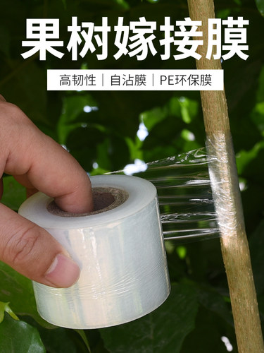 果树带膜打结无需缠绕膜嫁接专用PE膜包扎园林薄膜自粘式嫁接胶带