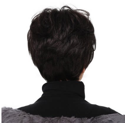 Perruque OTHER   cheveux courts - Ref 2608303 Image 5