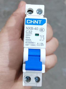 正品CHNT正泰DPN20A 25A两进32A断路器NXB-40单片双进双出C16
