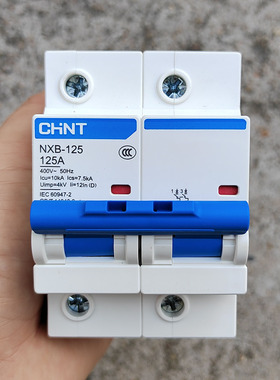 CHNT正品NXB-125正泰2P100A 125A断路器导轨大功率220V空气开关