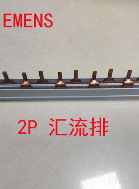 西门子2P汇流排紫铜63A国标