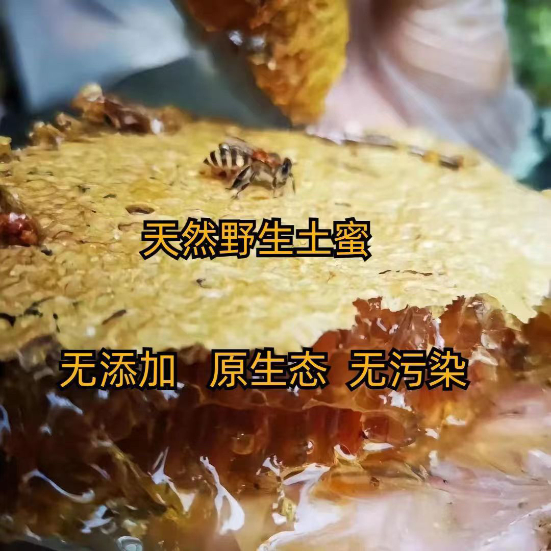 深山野生土蜂蜜纯正天然农家自产散装食品百花蜜结晶农产品成熟蜜