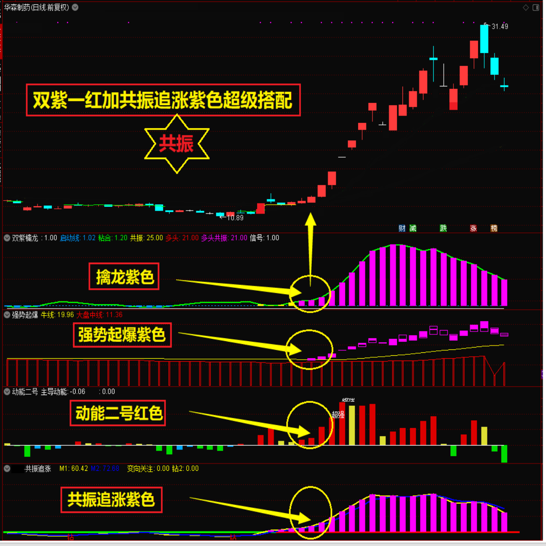 双紫擒龙紫紫红助力买卖点决策