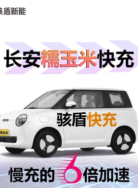 长安糯玉米快充专用慢充改快充便携式充电桩转接头适用充电枪