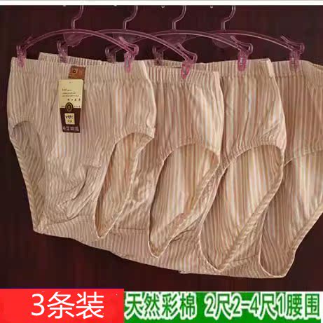 3条装天然彩棉男士三角内裤加大加肥棉裤头男士纯棉肥佬高腰短裤