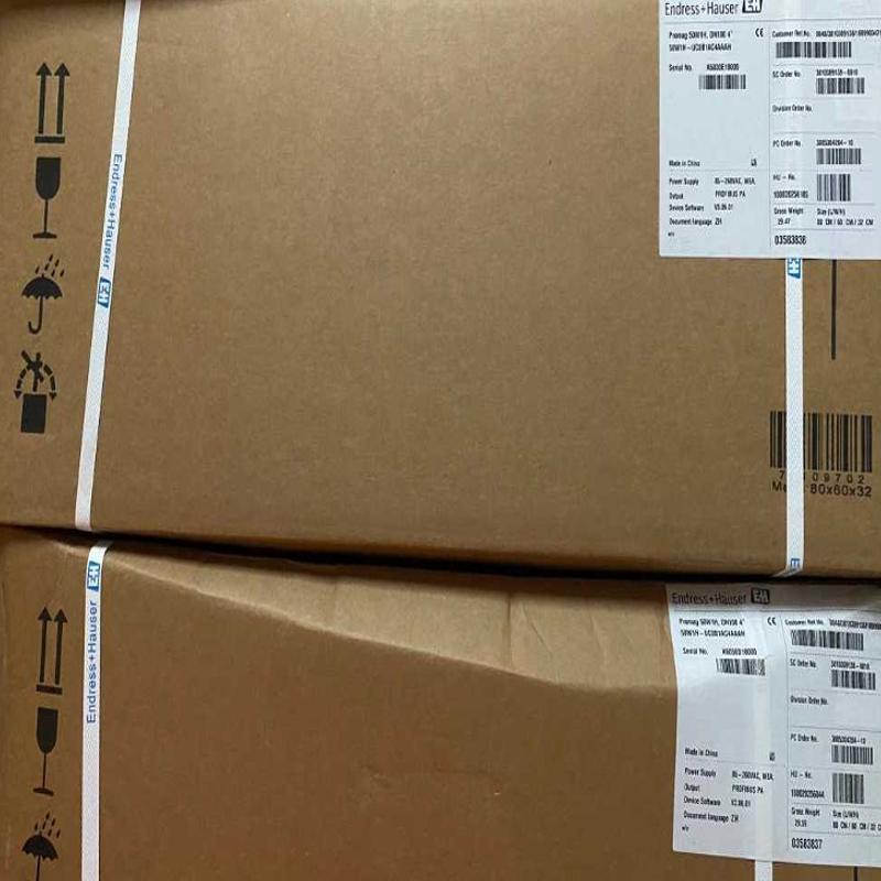 50W1H-UC0B1AC4AAAH E+H恩德斯豪斯