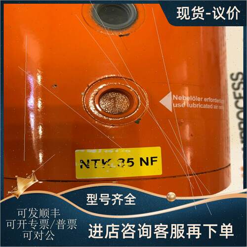 议价德国NETTER VIBRATION振动器NTK 85NF