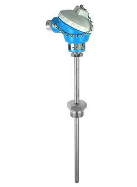 e+H TM501-B113C11A1BC1X1热电阻温度计TM501系列