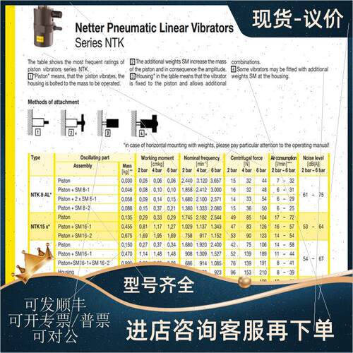 议价德国NETTER VIBRATION振动器NTK 55NF