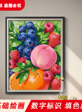 水果系列高品质DIY数字油画
