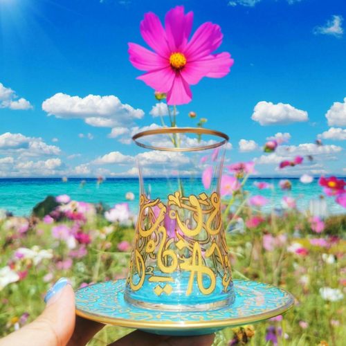 Selim玻璃家用欧式手工玻璃杯