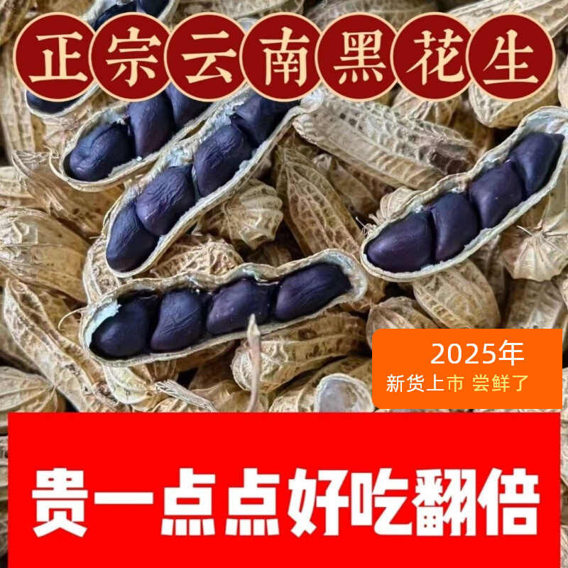 富硒黑花生带壳2025新货云南普洱特产晒干生熟黑皮黑花生大补肝肾