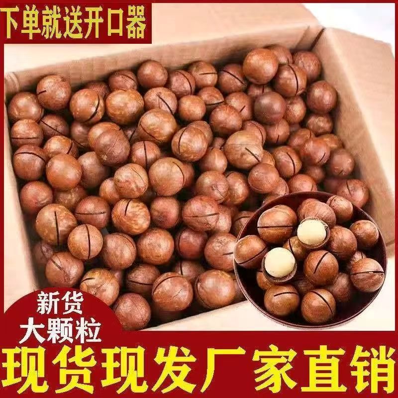新货奶油味薄皮夏威夷果袋装
