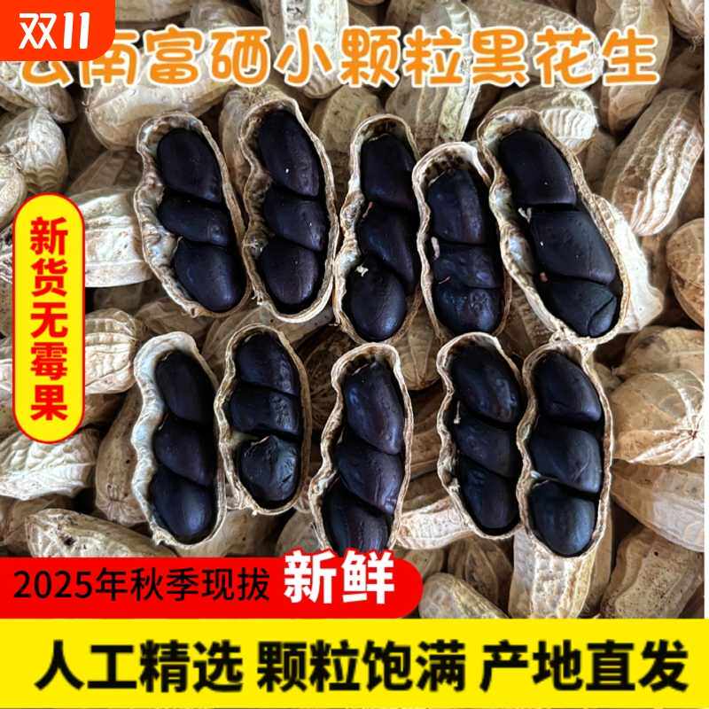 新货云南富硒黑花生带壳生的小颗粒富硒黑皮花生高营养大补肝肾