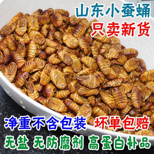 小蚕蛹新鲜冷冻桑蚕蛹