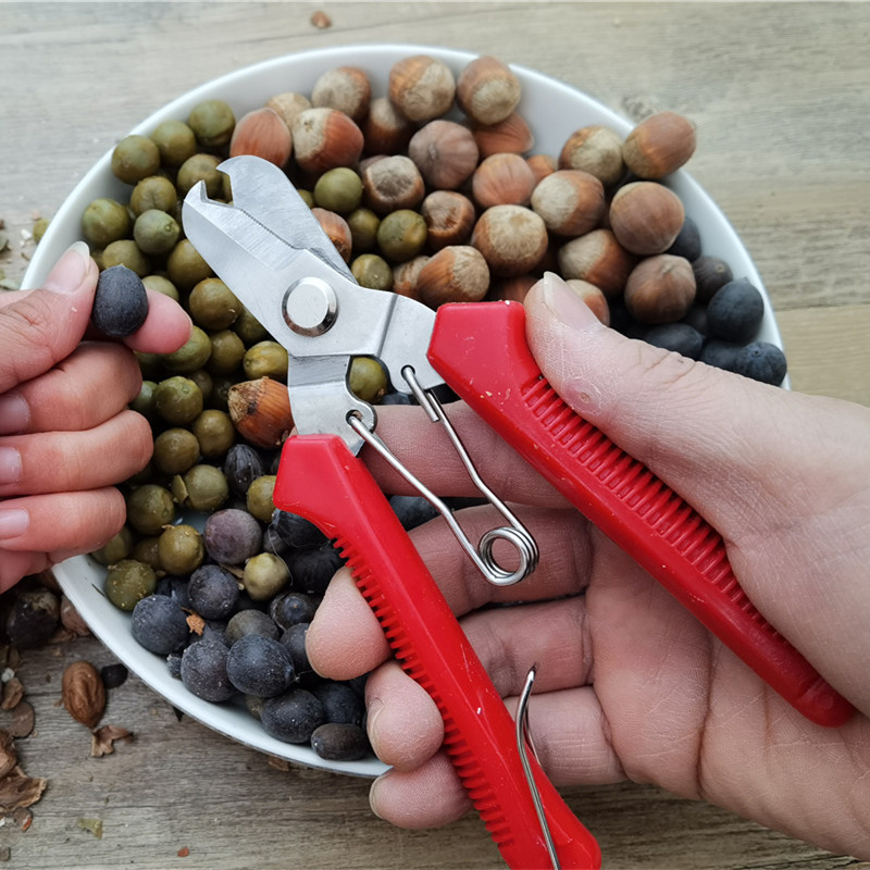 榛子开壳器剥老莲子工具榛子钳子