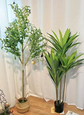 北欧风仿真绿植组合 油橄榄树+巴西木+散尾竹 落地大型假植物盆栽