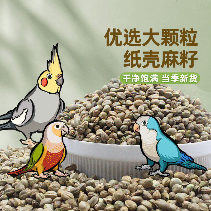热卖鹦鹉大颗粒麻籽纸壳麻子鸟粮带壳饲料营养增肥鸟食零食大团子,宠物/宠物食品及用品,鸟零食,淘宝优惠券,粉丝福利购,淘宝优惠卷