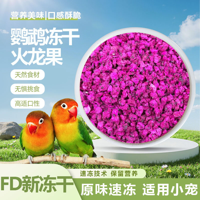 鹦鹉火龙果冻干速冻火龙果小颗粒酥脆营养美味鸟零食饲料和尚粮