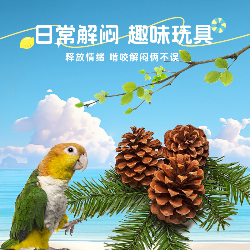 鹦鹉专用磨牙松果球鸟笼内装饰