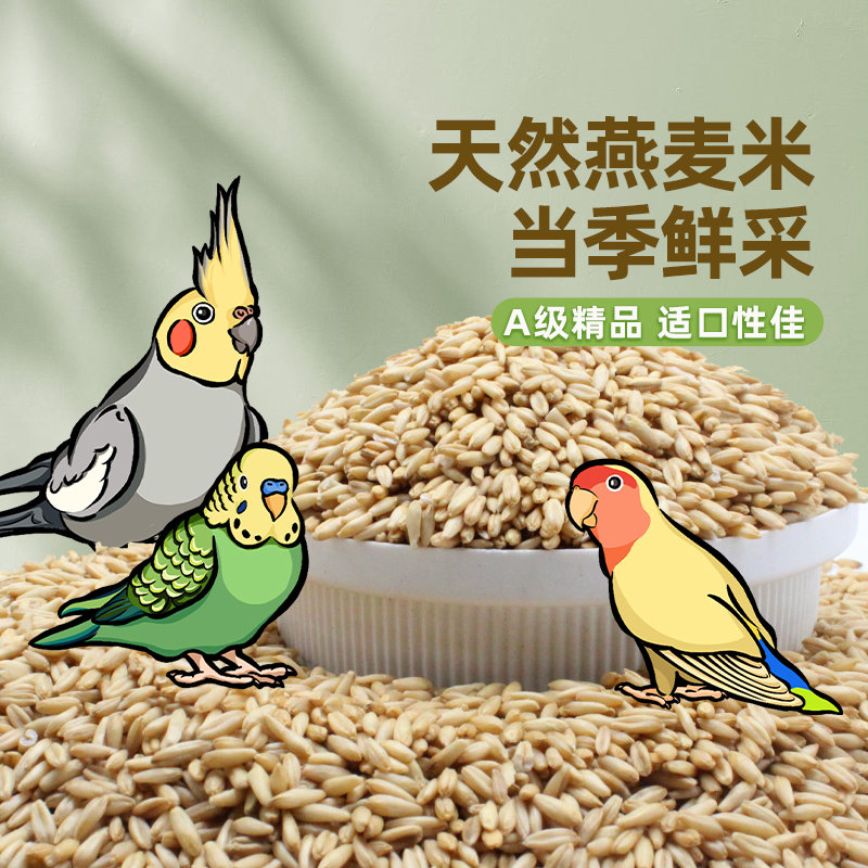 新鲜燕麦鸟食燕麦仁虎皮玄凤牡丹