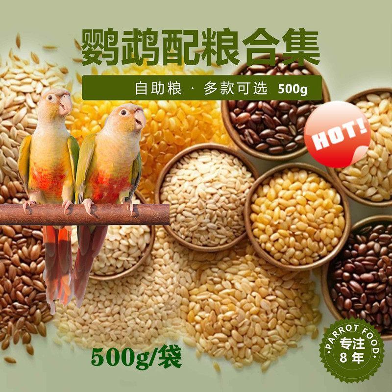 鹦鹉鸟食谷子黍子燕麦米火麻籽