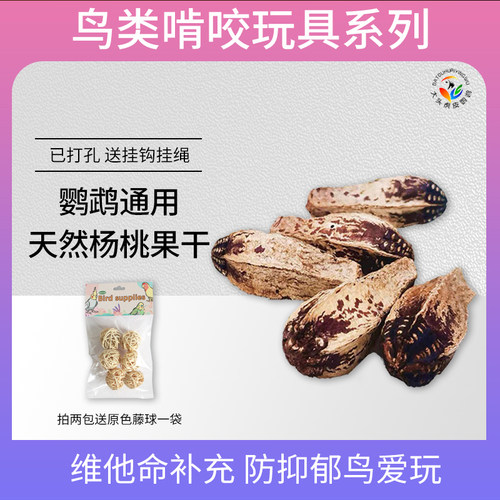 鹦鹉鸟磨嘴啃咬杨桃果干带孔打眼