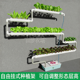 自由挂式无土栽培种植设备 水培种植架 水种花盆花架阳台种菜神器
