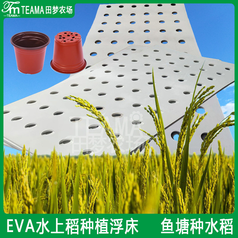 露天鱼塘水稻种植浮床eva水面种植漂浮板鱼稻共生无土栽培种菜盆