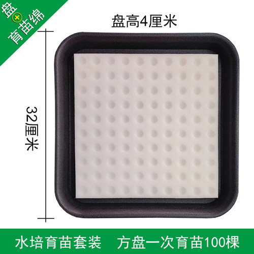 植物通用无土栽培水培育苗盘