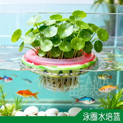 游泳圈水培篮鱼缸造景漂浮定植篮龟缸生态缸水草定植杯水上草种植