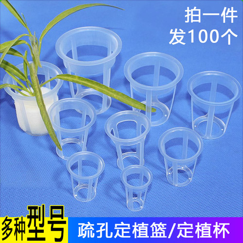新款定植篮蔬菜加深水培