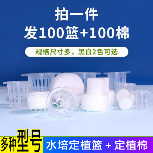 100只无土栽培水培定植篮定植绵