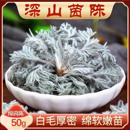 三月嫩茵陈新鲜正品鲜野生藏茵陈白蒿嫩芽土棉茵陈茶