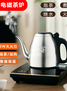迷你电磁炉小型电磁陶茶炉烧水壶泡茶专用多功能家用电池煮茶炉
