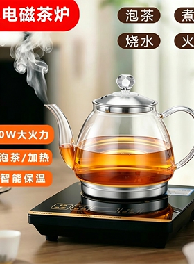 迷你电磁炉小型电磁陶茶炉烧水壶泡茶专用多功能家用电池煮茶炉
