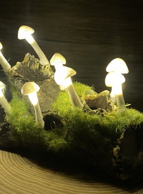 跨境枯木逢春小夜灯手工diy藤条树木装饰摆件家居送礼物男女朋友