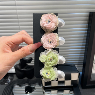 彩色度假风玫瑰花珠珠刘海边夹ins时尚 两只装 新款 春季 百搭 E3250