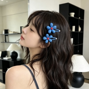 E4620 韩国蓝色花朵侧边夹一对装东大门新款女刘海鸭嘴夹少女发饰