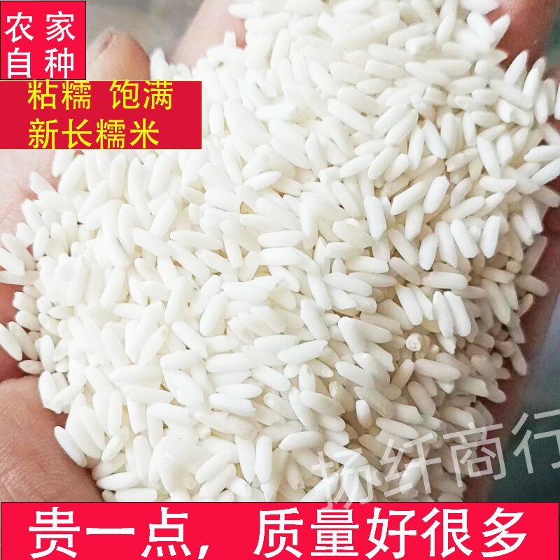 新糯米3斤 广东长糯米散装新鲜纯白糯米江米酒酿包粽子米真空包装