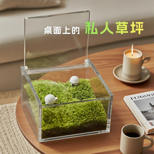 自然引力 苔藓微景观桌生态瓶办公牛马摆件室内桌面植物 一片草坪