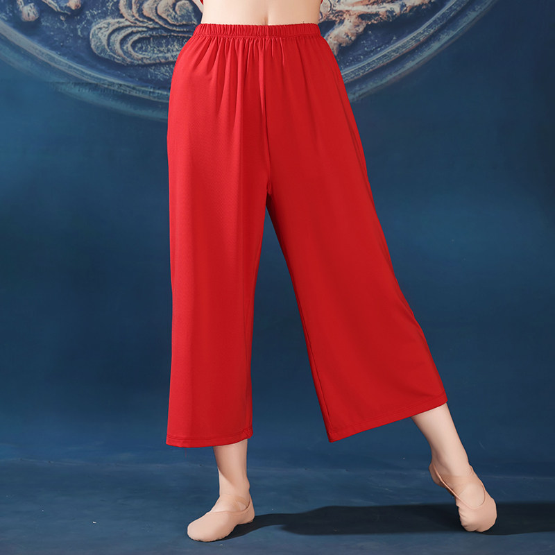 新款广场舞裤阔腿裤牛奶丝舞蹈裤子九分裤扇子舞跳舞演出服表演服