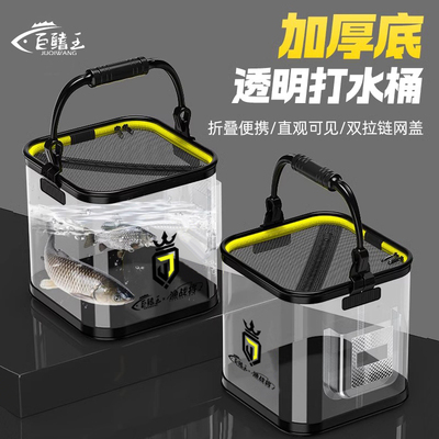 2025新款透明打水桶钓鱼桶活鱼桶