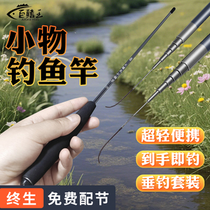 溪流竿小物钓鱼竿儿童鱼竿迷你小手竿便携式短杆套装微物短节钓竿