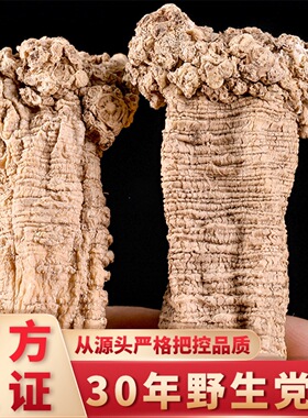 野生党参干货500g克纹党叁条甘肃整根党参条当参配黄芪当归片泡水